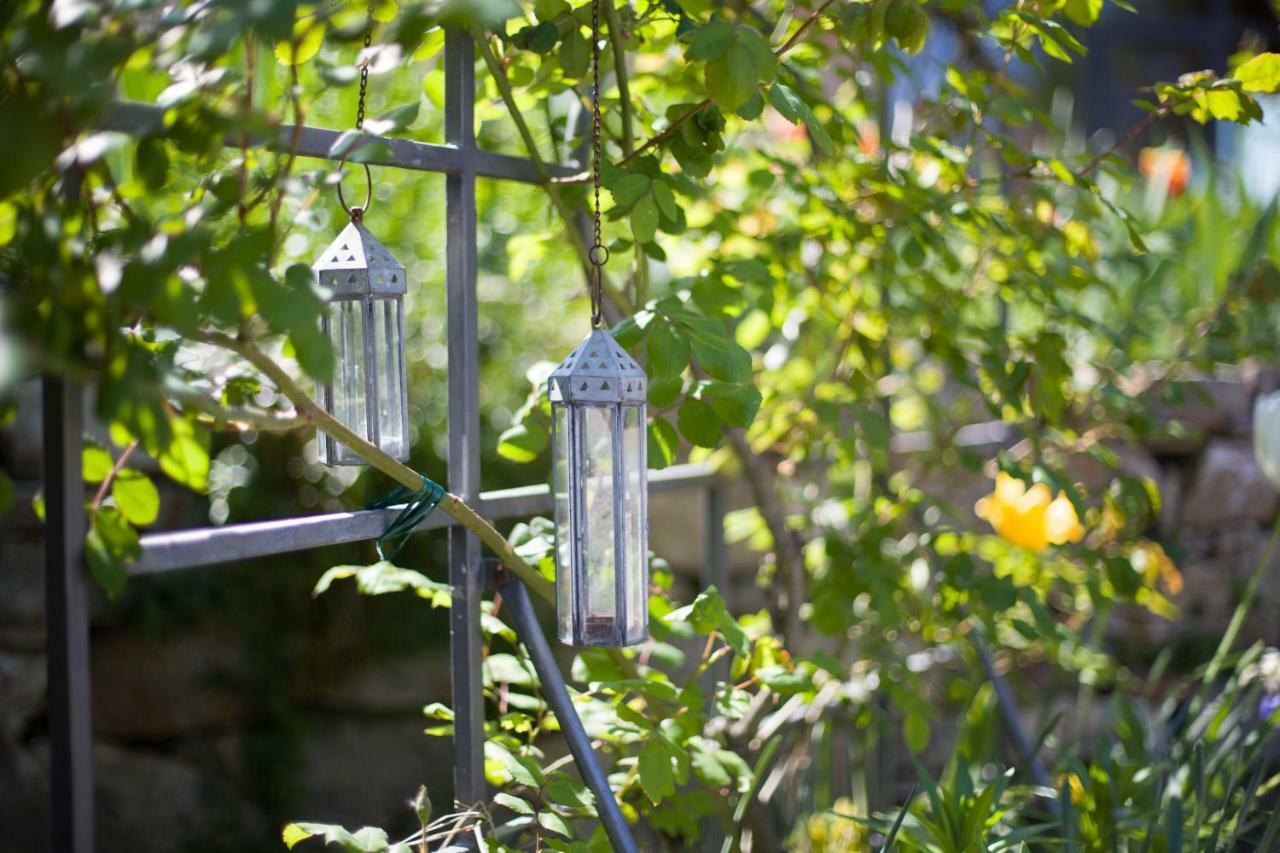 Ancora Del Chianti Bed & Breakfast Greve in Chianti Exterior photo