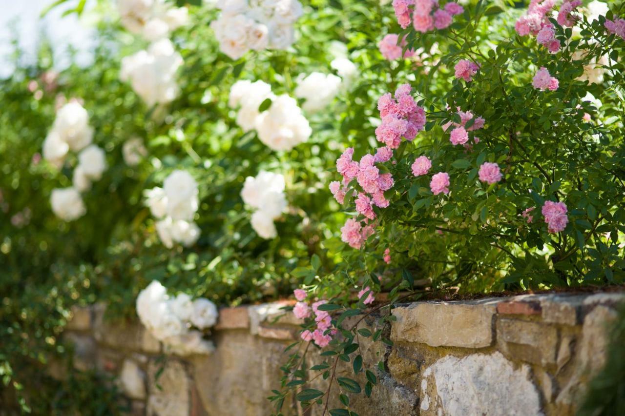 Ancora Del Chianti Bed & Breakfast Greve in Chianti Exterior photo