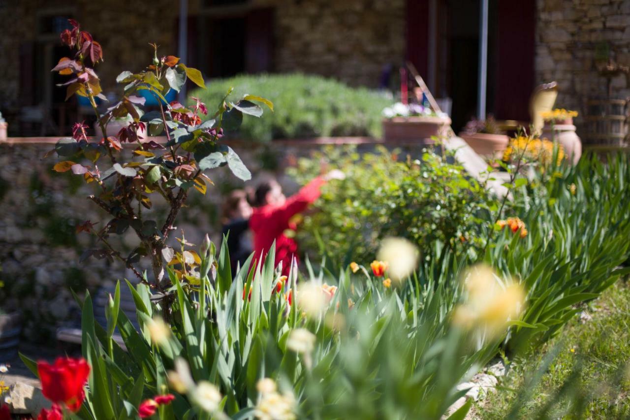 Ancora Del Chianti Bed & Breakfast Greve in Chianti Exterior photo